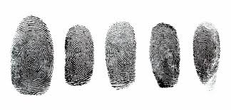 fingerprint.jpg