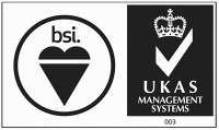 bsi_logo.gif